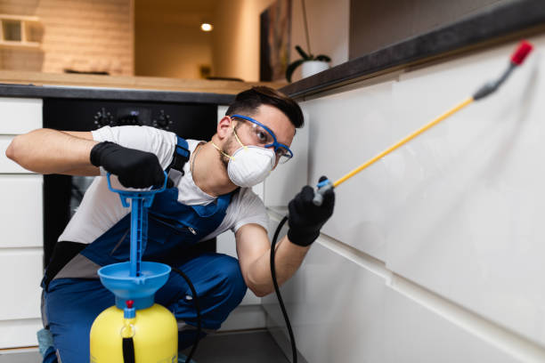 Best Flea Control Services  in Mineral Ridge, OH