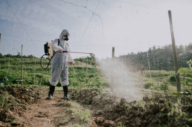 Best Mosquito Control Services  in Mineral Ridge, OH