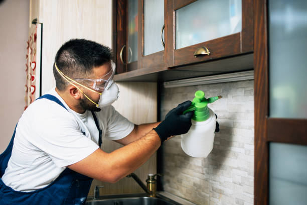 Best Commercial Pest Control Services  in Mineral Ridge, OH