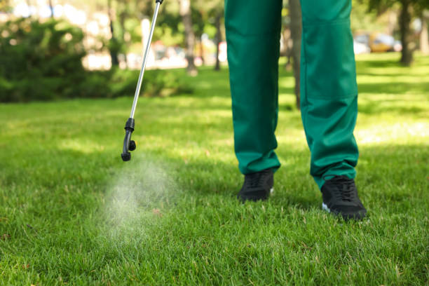 Best Mosquito Control Services  in Mineral Ridge, OH