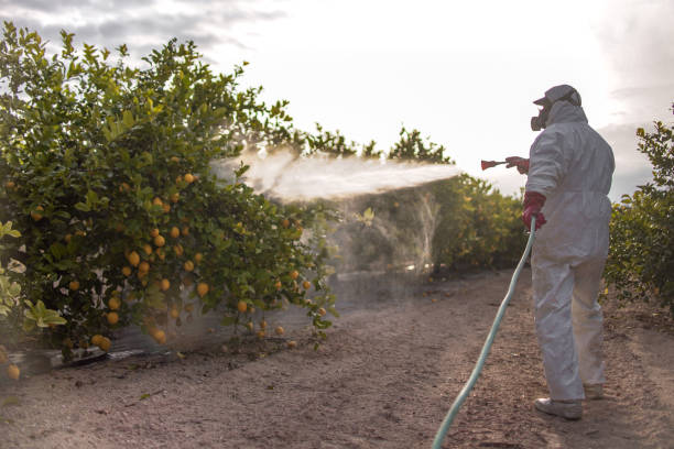 Trusted Mineral Ridge, OH Pest Control Experts