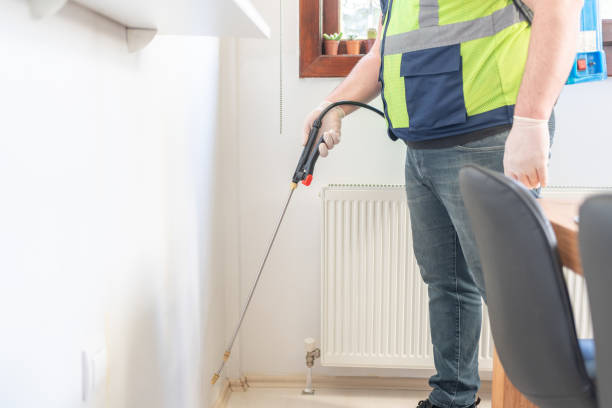 Best Wasp Removal Services  in Mineral Ridge, OH