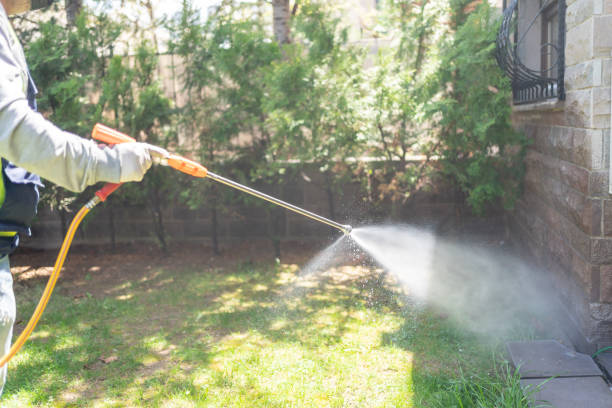 Best Spider Control Near Me  in Mineral Ridge, OH