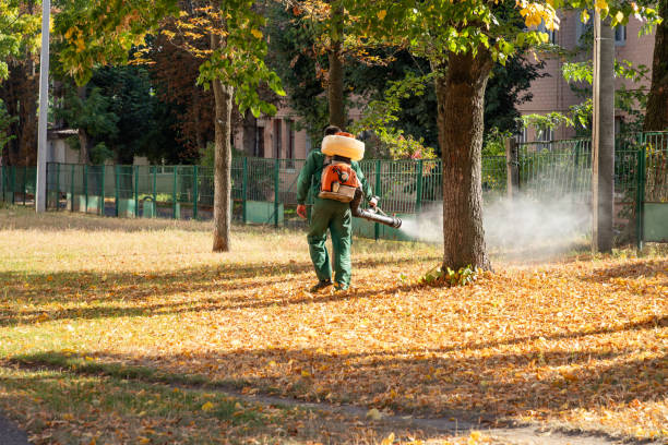 Best Wasp Removal Services  in Mineral Ridge, OH