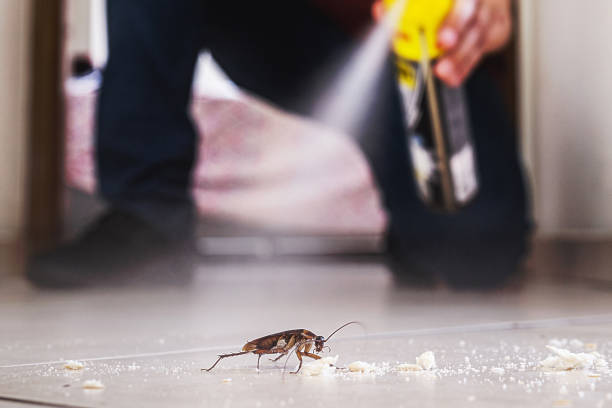 Best Best Pest Control Companies  in Mineral Ridge, OH