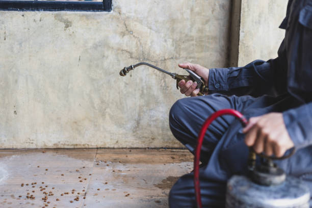 Best Pest Control Treatment  in Mineral Ridge, OH